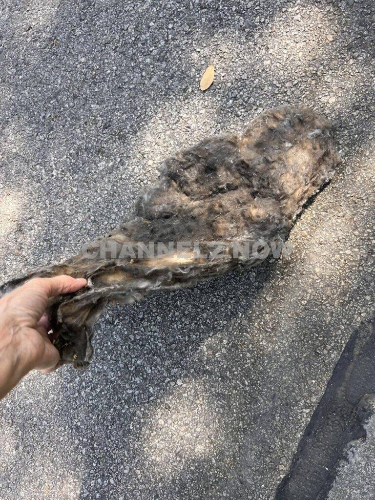 Austin, TX – Emergency crews responded to a significant structural collapse with a reported explosion at a residence located at 10407 Double Spur Loop, just off Yaupon Drive, shortly before 11:30 a.m. on Sunday, according to the Austin Fire Department (AFD).
Upon arrival, firefighters discovered a two-story home that had sustained catastrophic damage due to an unknown event that led to a complete or partial structural collapse.