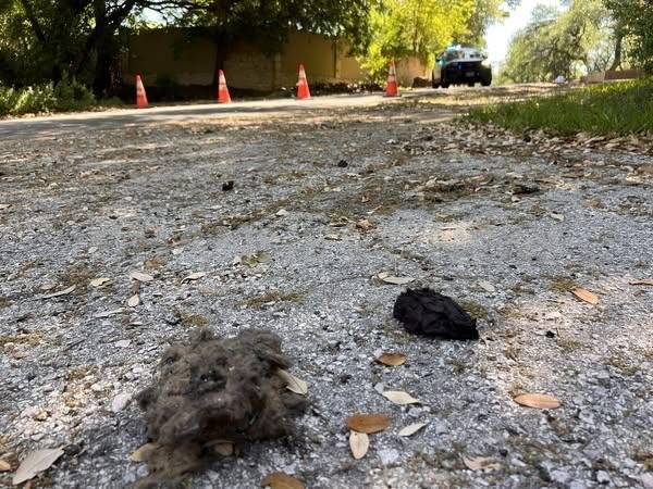 Austin, TX – Emergency crews responded to a significant structural collapse with a reported explosion at a residence located at 10407 Double Spur Loop, just off Yaupon Drive, shortly before 11:30 a.m. on Sunday, according to the Austin Fire Department (AFD).
Upon arrival, firefighters discovered a two-story home that had sustained catastrophic damage due to an unknown event that led to a complete or partial structural collapse.